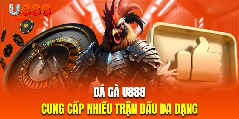 Danh sách những hình thức chọi kê U888 chuẩn