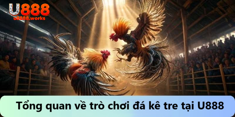 Tổng quan về trò chơi đá kê tre tại U888